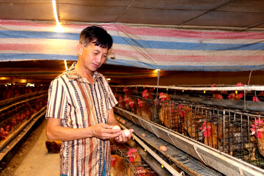 Bền bỉ đổi mới, hai lần được vinh danh Nông dân Việt Nam xuất sắc