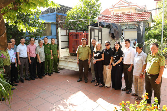 Người dân phường Nam Triệu tự nguyện chuyển giao cá thể gấu