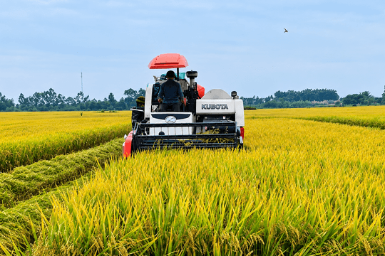 Khắc ghi lời Bác, xây dựng xã Vĩnh Lại giàu đẹp