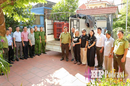 Bản tin 5 phút an ninh trật tự ngày 21/10/2026