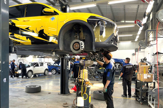 Khơi thông nguồn lực đảng viên làm kinh tế