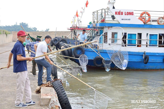 Đồ Sơn phát động phong trào vớt rác, giữ sạch biển
