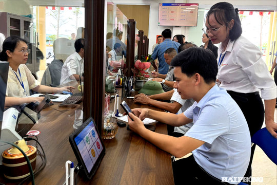 Không để 'lạm phát' phần mềm
