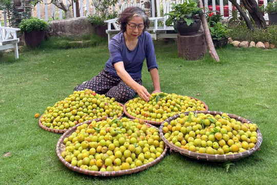 Sản phẩm vườn nhà thành món quà quê hương