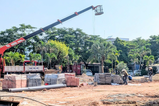 Tăng tốc thực hiện các nhiệm vụ Nghị quyết 11 trong 2 tháng cuối năm