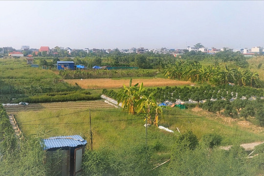 An Hải cơ bản hoàn thành giải phóng mặt bằng dự án tái định cư