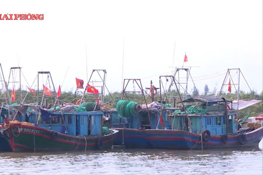 Hải Phòng siết quản lý tàu cá bằng ứng dụng eCDT