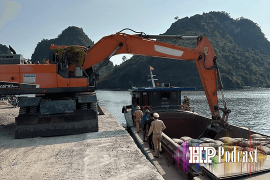 Bản tin 5 phút an ninh trật tự ngày 28/10/2026