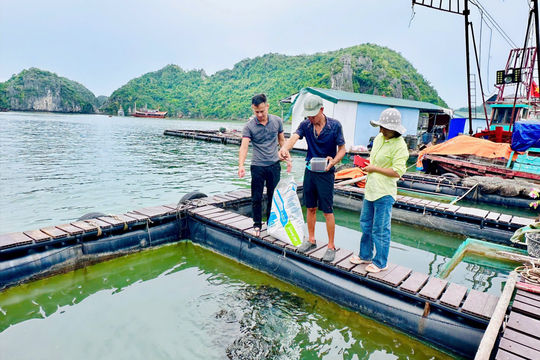 Nuôi trồng thủy sản thông minh, hướng tới phát triển bền vững