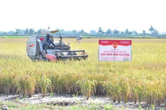 Nghi Duong ragworm rice achieves US organic certification