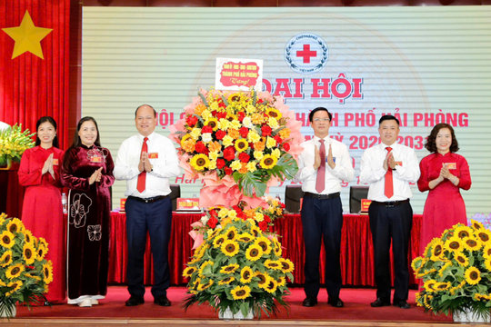 Đổi mới hoạt động Hội Chữ thập đỏ, nâng cao hiệu quả 'cầu nối' an sinh