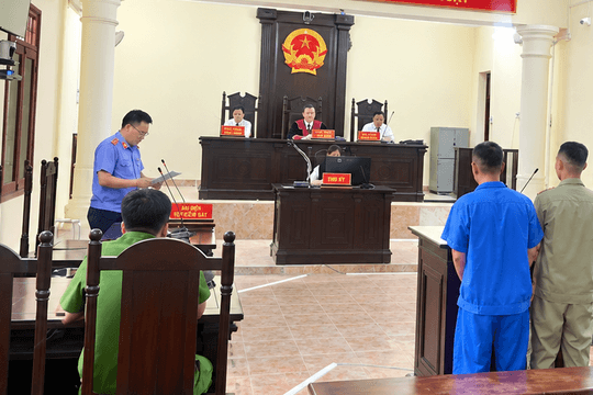 Lĩnh án vì tàng trữ, tổ chức sử dụng trái phép chất ma túy