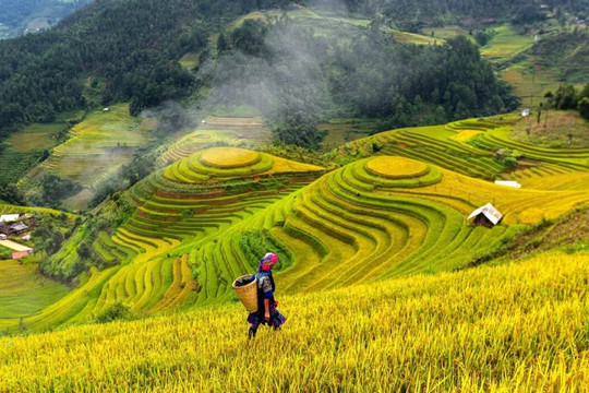 Du khách Việt linh hoạt hơn, ưu tiên trải nghiệm có giá trị