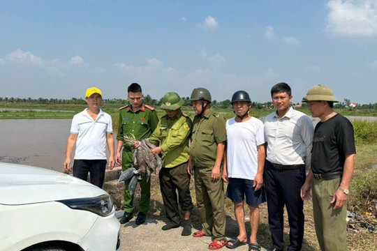 Tháo dỡ 3.000 m lưới bẫy chim hoang dã ở xã Kiến Hải