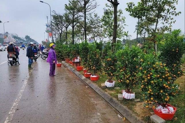 Từ ngày 30 - 31/1, khả năng có đợt không khí lạnh ẩm ảnh hưởng tới miền Bắc