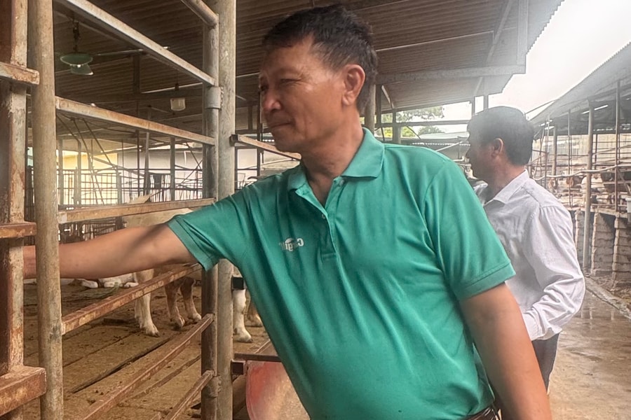 Trang trại nuôi dê lớn nhất Hải Dương có gì đặc biệt?