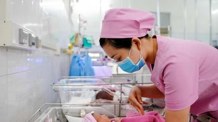 Không lo vi phạm