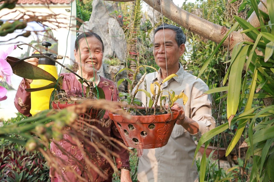 5 bí quyết giúp người cao tuổi luôn lạc quan