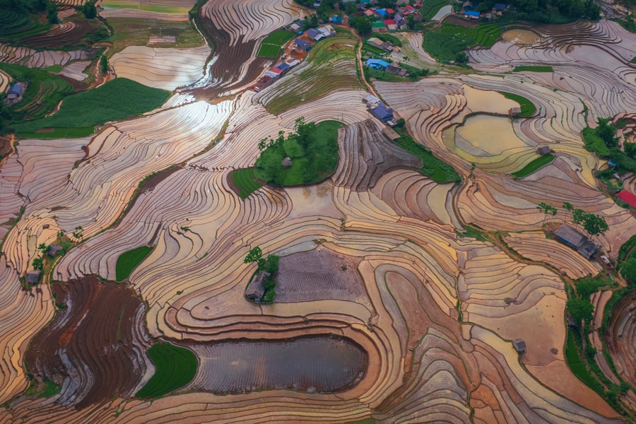 Ruộng bậc thang Y Tý mùa nước đổ