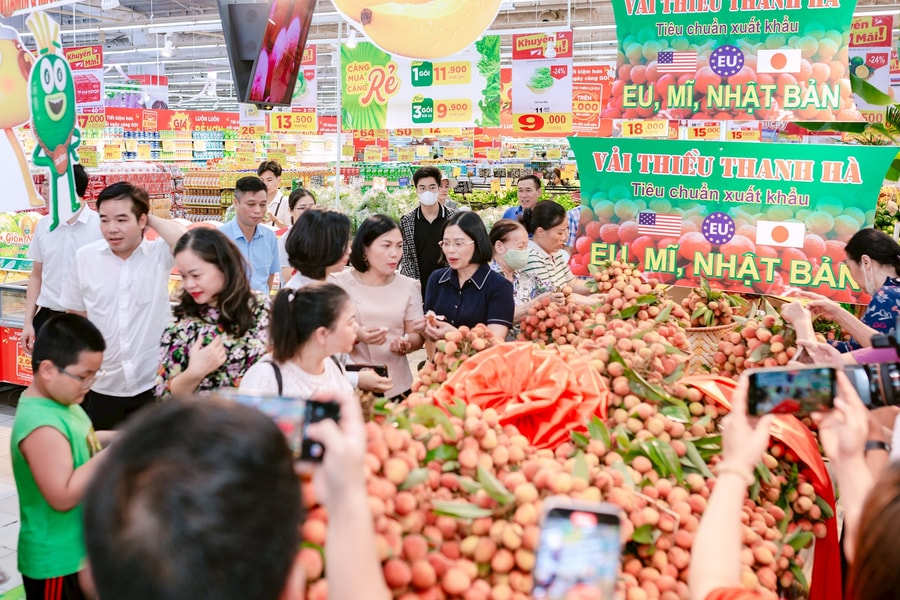 Hệ thống siêu thị GO Việt Nam cam kết mỗi ngày tiêu thụ 20 tấn vải chính vụ của Hải Dương
