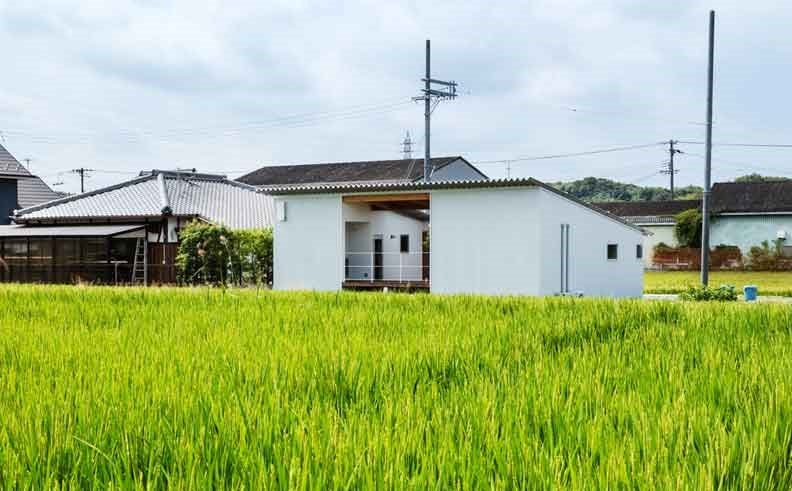 Diện tích công trình phục vụ sản xuất nông nghiệp xây trên đất trồng lúa tối đa 1.000 m2