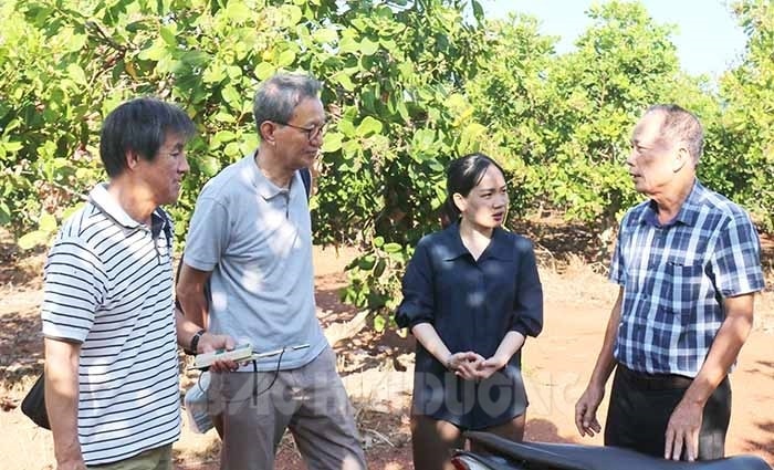 Gặp những người Hải Dương xa quê