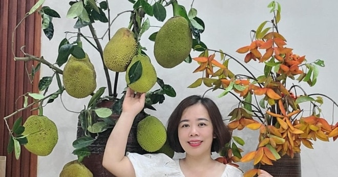 Quả mít, cành roi, chùm vải 'lên bình' đẹp lạ, gây sốt mạng