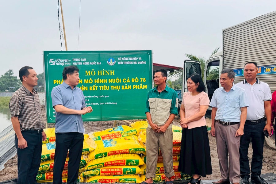 Trung tâm Khuyến nông quốc gia xây dựng mô hình nuôi cá, gà tại Hải Dương