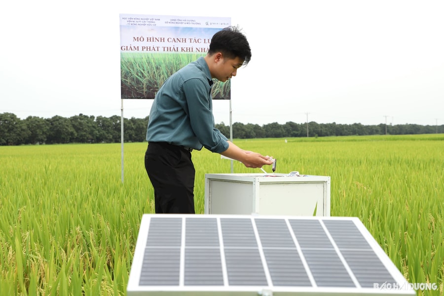 Giải pháp kỹ thuật canh tác lúa góp phần giảm phát thải khí nhà kính
