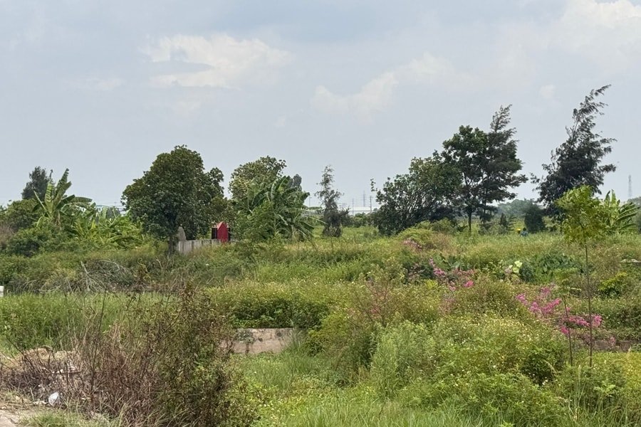 Hai Duong to build martyrs’ temple and cultural park with 200 billion VND