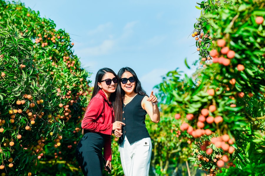 Visiting Dong Man ecotourism area during lychee season