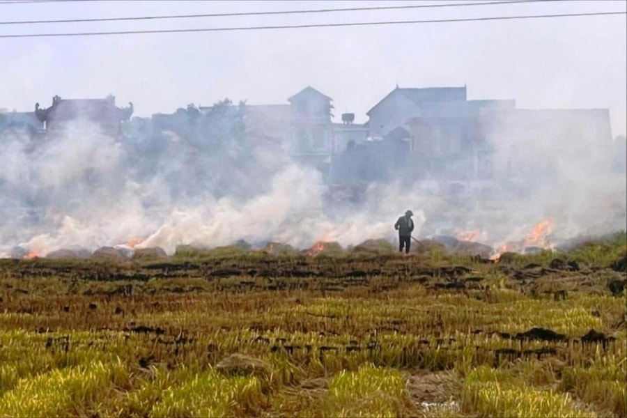 Nhiều nơi mù mịt khói do đốt rơm rạ
