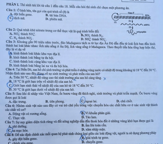 Đề thi và gợi ý giải đề thi môn sinh học kỳ thi tốt nghiệp THPT 2025