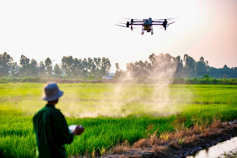 New momentum for hi-tech agriculture development in Hai Phong