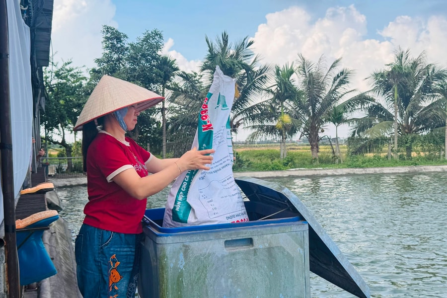 Kinh nghiệm nuôi cá năng suất cao của nông dân Tứ Kỳ