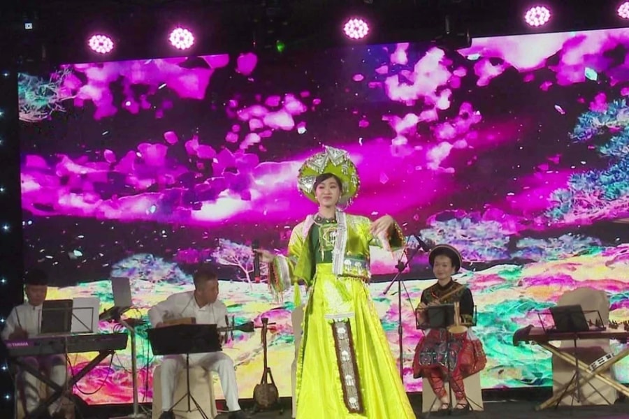 Vietnamese culture shines in Czech Republic