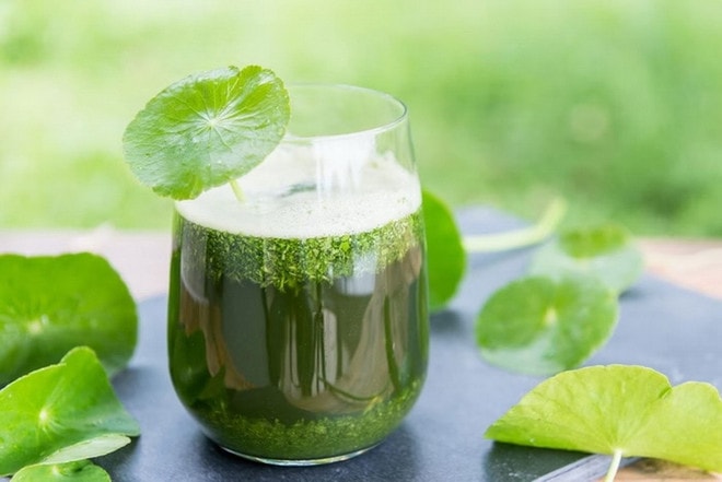 Rau má - 'thần dược' từ thiên nhiên cho làn da khỏe đẹp