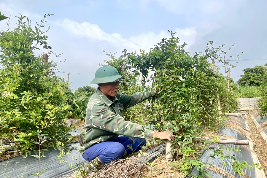 Xã vùng xa lên phường