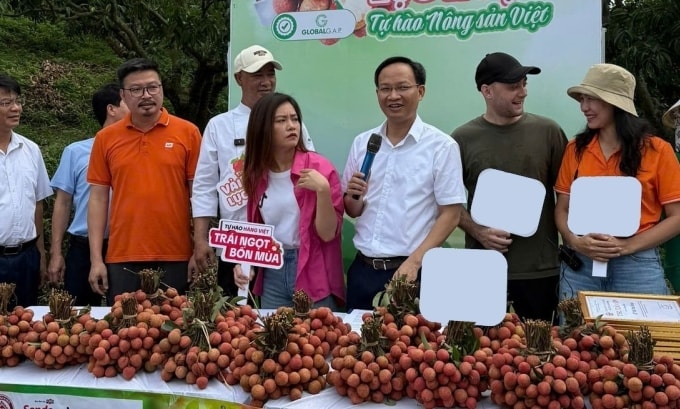 Phó Chủ tịch UBND tỉnh Bắc Ninh livestream bán 54 tấn vải trong 6 giờ