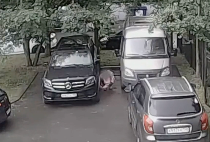 Video An ninh Nga bắt quả tang nữ nghi phạm cài bom ám sát theo lệnh từ phía Ukraine
