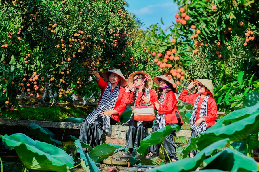 Hai Phong tourism: A mosaic of experiences