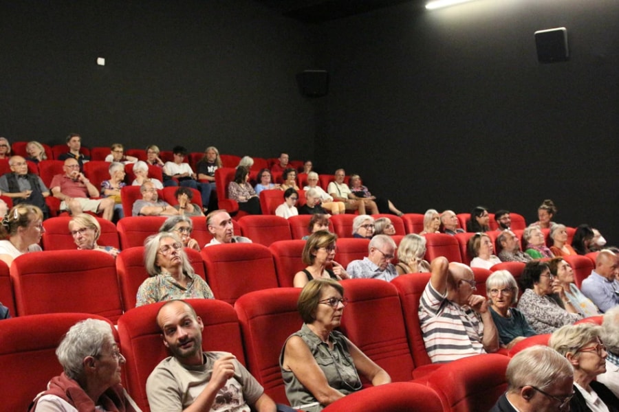 Documentary on Vietnamese craft villages draws French audiences