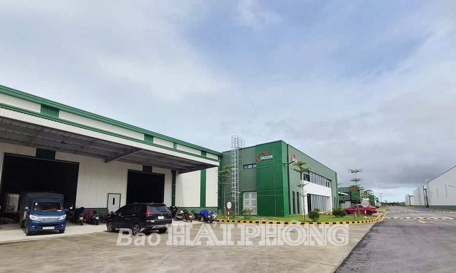 Bảo đảm quyền lợi người lao động tại Công ty TNHH Daeduk Vina