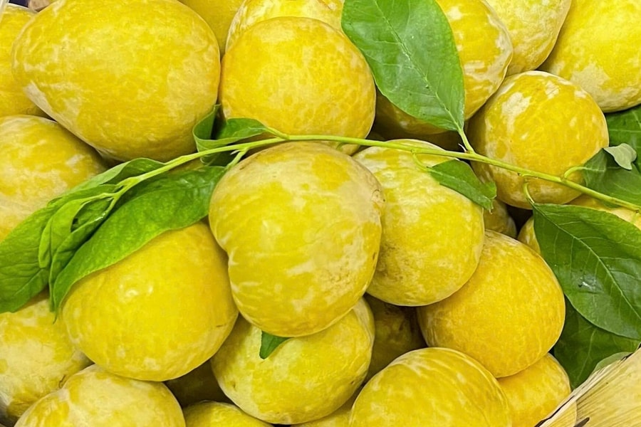 Nửa triệu đồng một kg mận vàng hoàng đế Trung Quốc
