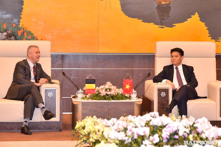 Hai Phong accompanies, facilitates businesses’ sustainable, long-term investment