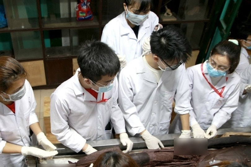 272 thí sinh đầu tiên trúng tuyển Trường Đại học Y Hà Nội
