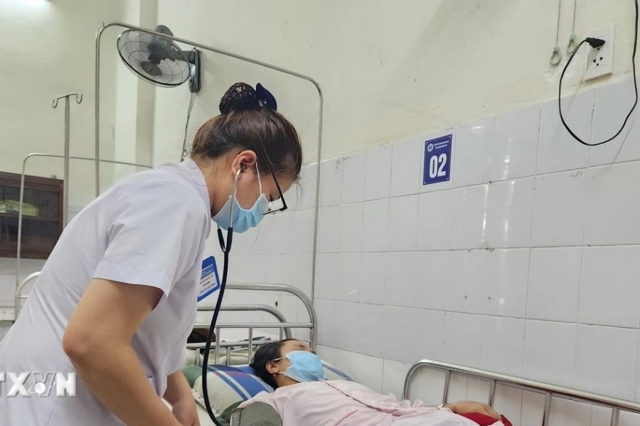 Khuyến cáo của Bộ Y tế về phòng, chống bệnh liên cầu lợn ở người