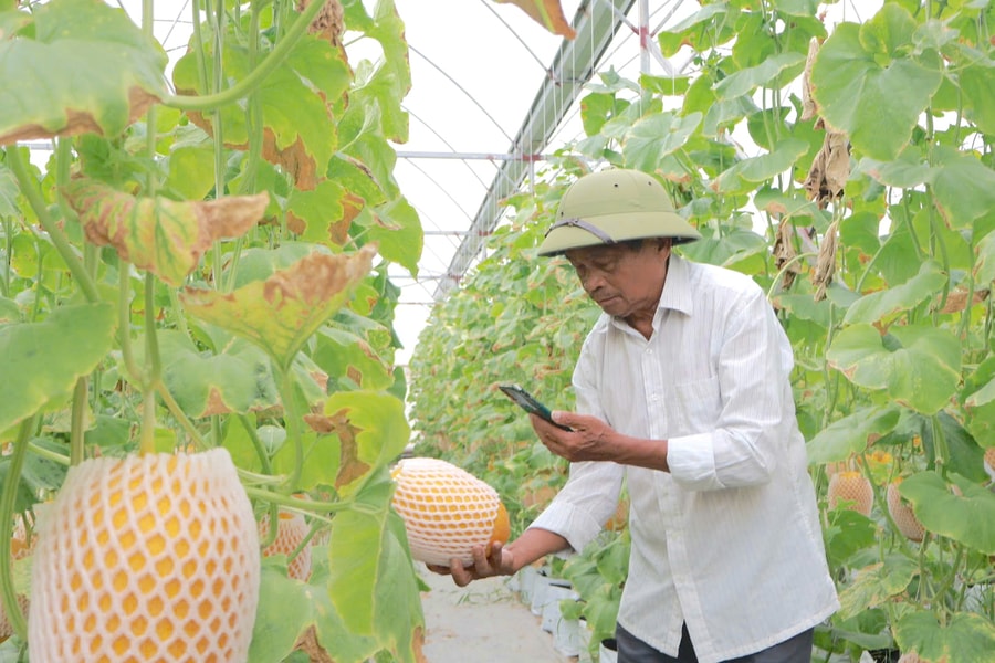Khi công nghệ ‘làm bạn’ với người già