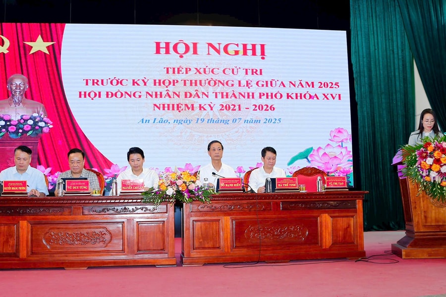 Cử tri đề nghị thành phố quan tâm nâng cấp hệ thống đê điều và môi trường nông thôn