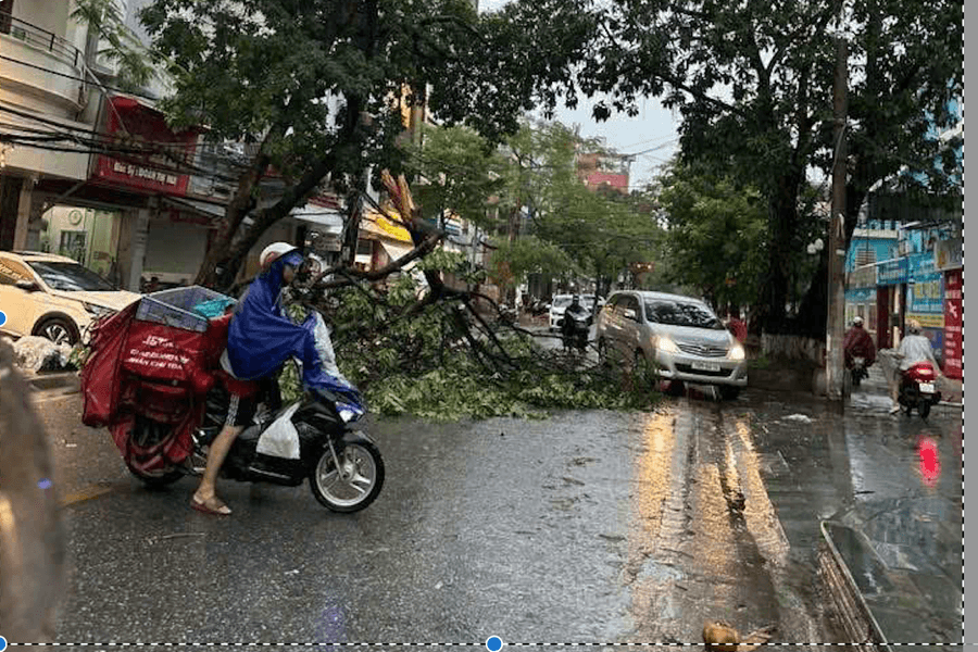 Bão WIPHA và trách nhiệm của chính quyền địa phương mới
